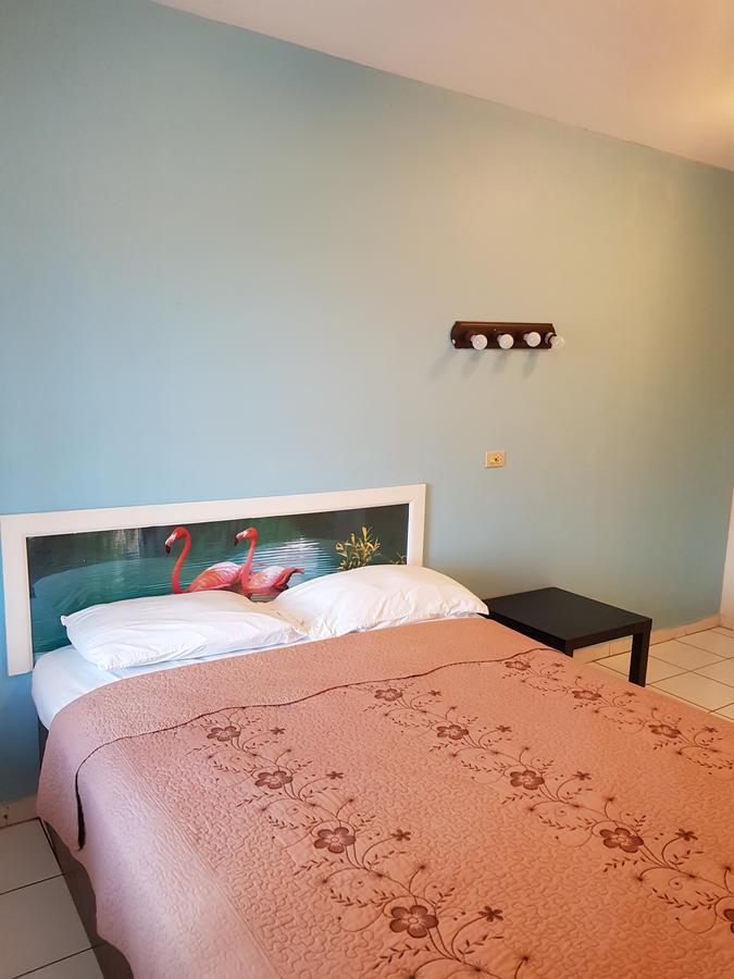 נסאו Hibiscus Inn Hotel מראה חיצוני תמונה