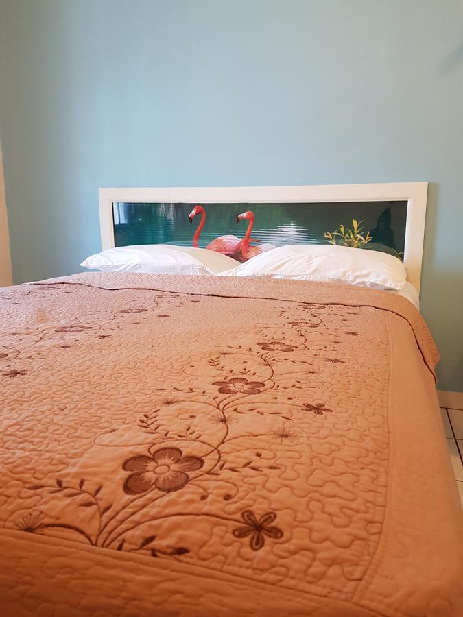 נסאו Hibiscus Inn Hotel מראה חיצוני תמונה